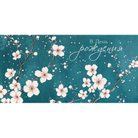 Конверт для денег "В День Рождения!" 167х83мм 0319.840