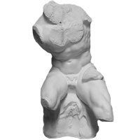 Торс Бельведерский 22х24х43см 90-901 Торс Бельведерский 22х24х43см 90-901