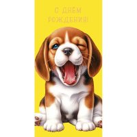 Конверт для денег "С Днем Рождения!" 167х83мм 0319.244