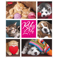 Тетрадь А5 24л клетка "Relax Life" на скобе 24Т5В1/046960