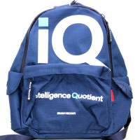 Рюкзак "IQ" 40х30х17см, 600гр, 1 отделение, 3 кармана, синий 12-003-157/02