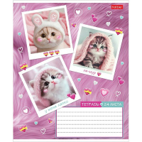 Тетрадь А5 24л клетка "Мяу-статусы" на скобе 5 дизайнов 24Т5В1/091442