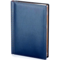 Ежедневник недатированный А5 "Image" 272стр., синий, серебряный срез, искусственная кожа 3-346/02