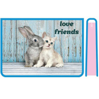 Папка д/труда А4 "Любимые друзья" 325х230х100мм на молнии сверху, пластик ПТР-22