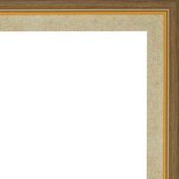 Рамка 40х50см бежевая/темное золото 35мм