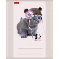 Тетрадь А5 12л клетка "Кототерапия" на скобе, 5 дизайнов 12Т5В1/058038
