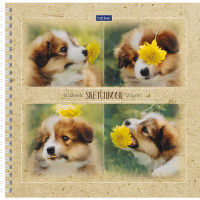 Скетчбук 21х21см 60л 120г/м2 "Щенок с цветком" спираль, твердая обложка 60Тт4Aгр_22202/061030