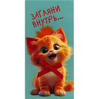 Конверт для денег "Загляни внутрь" 190х93мм 0216.950