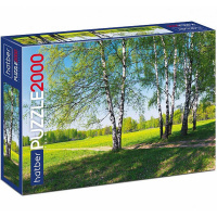 Пазлы 2000 эл. "Premium. Русский лес" 98х68см 2000ПЗ1_14504/071062