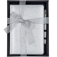 Набор подарочный "Sidney Nebraska" (ежедневник А5 272стр. серебро + ручка шариковая) 3-128/10-2