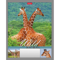 Тетрадь А5 24л линия "Мир животных" на скобе 24Т5B2/028380