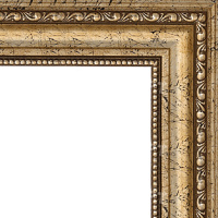 Рамка 30х40см светло-коричневая/золото 50мм