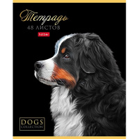 Тетрадь А5 48л клетка "Портрет лучшего друга" на скобе выборочный лак 5 дизайнов 080210