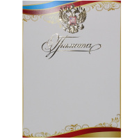 Грамота 206х292мм 7200847 Грамота 206х292мм 7200847