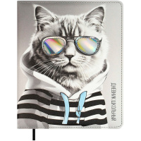 Дневник для 1-11 классов "Кот в худи" твердая обложка, искусственная кожа с поролоном 68672