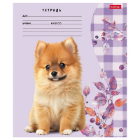 Тетрадь А5 24л линия "Милые носики" на скобе 5 дизайнов 24Т5В2/091484