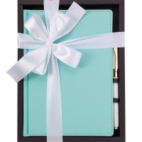 Набор подарочный "Velvet" (ежедневник А5 272стр. зефирный мятный + ручка шариковая) 3-115/36-2