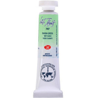 Краска акварельная 10мл зелёная тёплая туба 1901747 Краска акварельная 10мл зелёная тёплая туба 1901747