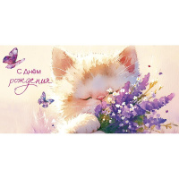 Конверт для денег "С Днем Рождения" 167х83мм 0320.129