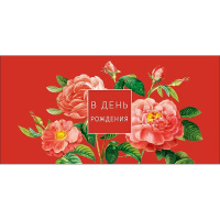 Конверт для денег "В День Рождения" 167х83мм 0322.520