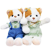Кошка в одежде 23см 2 вида WT2614