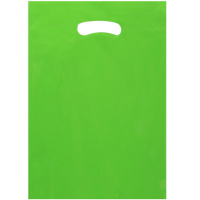 Пакет подарочный 21х30см фольга зеленый Y10437-24