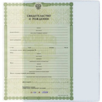 Обложка-карман д/свидетельства о рождении 263х192мм пвх 3178.300