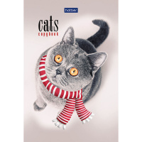 Блокнот А6 40л "Premium.Кототерапия" клетка, склейка, гляневая ламинация, 3 дизайна 057230