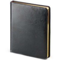 Ежедневник недатированный А6+ "Sidney Nebraska" 272стр., черный, золотой срез, искусственная кожа