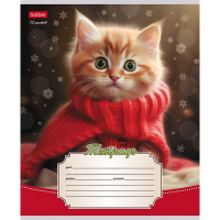 Тетрадь А5 12л линия "Уютные котики" на скобе 5 дизайнов 12Т5В2/086197