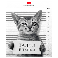 Тетрадь А5 96л клетка "Кот-обормот" на скобе 5 дизайнов 96Т5В1/053332