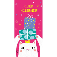 Конверт для денег "С Днем Рождения!" 167х83мм 0318.644