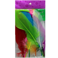 Набор перьев 10шт/уп., размер пера 17-19см, 10 цветов Y10855-24