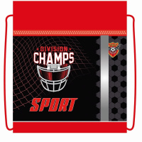 Сумка для сменной обуви "Спортивная лига" 36x46см 1 отделение с карманом СДС-711