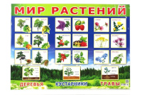 Плакат Мир растений! (490х690) 31619