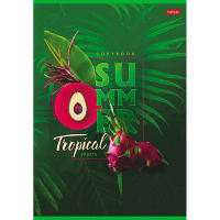 Тетрадь А4 80л клетка "Тропическое лето" на скобе 3 дизайна 80Т4В1/066232