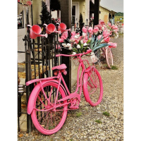 Живопись по номерам (акрил) 40х50см "В розовом цвете" сложность 3, холст на подрамнике МСА1906