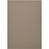 Обложка для переплета 10 листов А4 200мкм пластик дымчатый