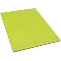Бумага тонированная А4 50л 80г/м2 желтый неон