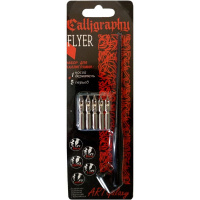 Набор для каллиграфии 6 предметов (5 переьев, косой держатель для пера) FLCG6PL