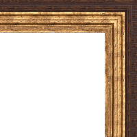 Рамка 40х50см темно-коричневая/золото 41мм
