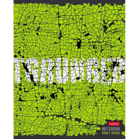 Тетрадь А5 96л клетка "Яркий гранж" на скобе 5 дизайнов 080261