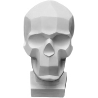 Обрубовка черепа по Баммесу 23,5х16х27см 10-118