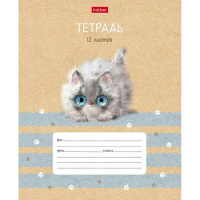 Тетрадь А5 12л косая линия "Кошарики" на скобе с доп.горизонтальной линией 5 дизайнов 074333