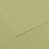 Бумага для пастели 50х65см 160г/м2 светло-зеленый митант №480 200321164