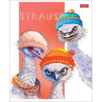 Тетрадь А5 48л клетка "Модные страусы" на скобе матовая ламиация 5 дизайнов 086208