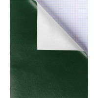 Тетрадь А5 48л клетка зеленый бумвинил на скобе 48Т5бвB1/012839