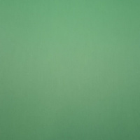 Бумага тонированная 50х70см 300г/м2 зеленая ель 6158