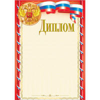 Диплом 210х297 29931