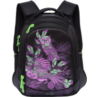 Рюкзак 31х42х20см, 700гр, 2 отделения, 2 кармана, черный RD-832-3/1